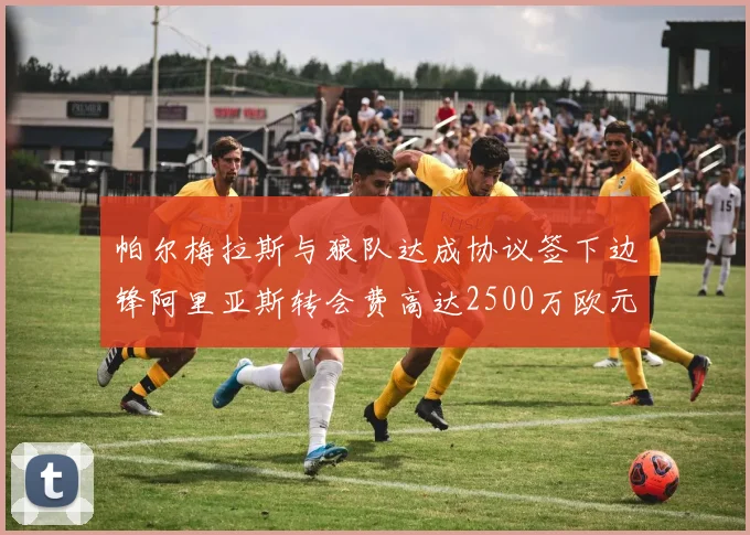 帕尔梅拉斯与狼队达成协议签下边锋阿里亚斯转会费高达2500万欧元