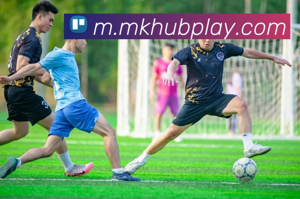 MK体育服务体系